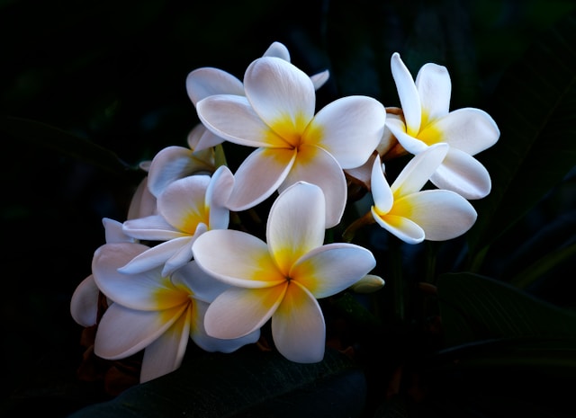 Natürlicher Rhythmus